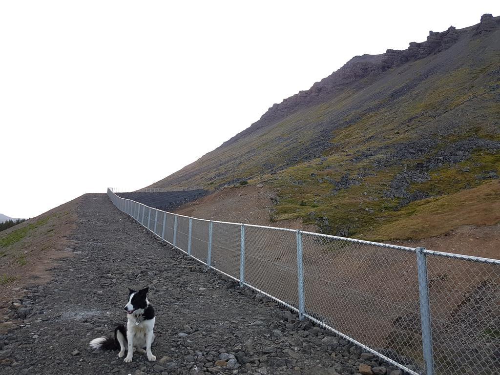 Sigurhaeth - Apartment With All Within Your Reach Ísafjörður Exterior foto